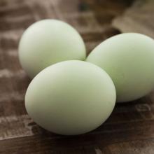 白甸里下河绿壳鸡蛋新鲜绿皮蛋30枚